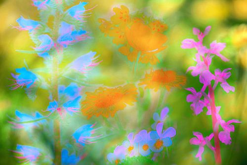 Fleurs aux couleurs néon
