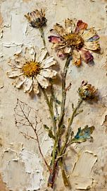 Sommerleuchten – Margeriten in Weiß und Buntfarben von Kristin M