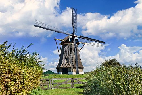 Nederlandse traditionele windmolen in een weide, blauwe lucht en de wolken 1