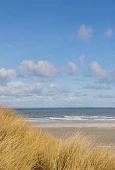 De zee met blauwe luchten