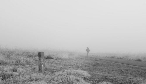 Spaziergänger im Nebel