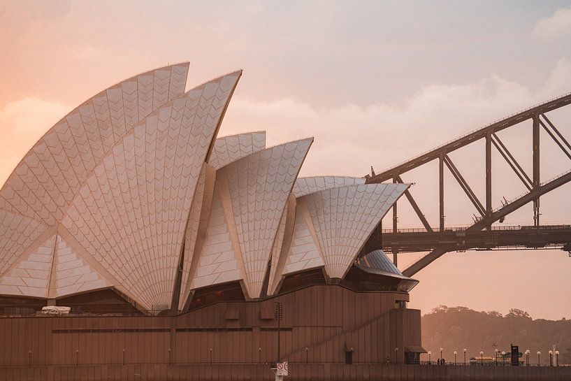 Sydney by Hello Pompoyo