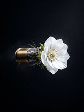 Die letzte Kugel von Dedy Ajad Setiawan