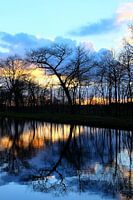 Bomen weerspiegelen in het water.