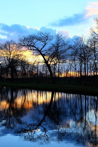 Bomen weerspiegelen in het water. par Marian Klerx