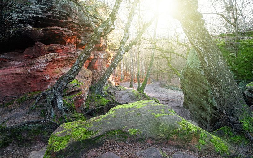 Katzensteine, Voreifel, North Rhine-Westphalia, Germany by Alexander Ludwig
