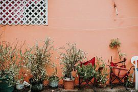 Willemstad Nahaufnahme | Bunte Reisefotografie | Curaçao, Niederländische Antillen von Trix Leeflang