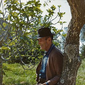 Portrait of an old farmer in Portugal. by Ineke de Rijk
