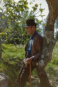 Portrait d'un vieil agriculteur au Portugal.