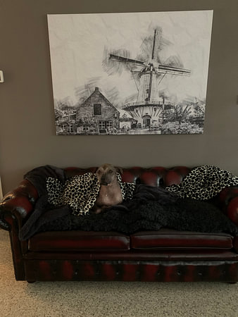 Pannekoekenmolen De Graanhalm in Burgh-Haamstede (Skizze)