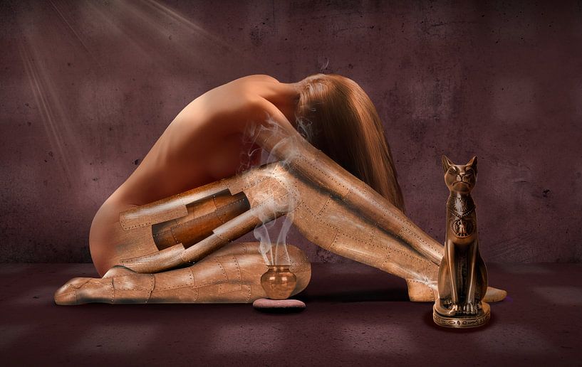 frau metamorphose von Armin Mumper