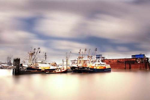 Lauwersoog haven Harbour of Lauwersoog