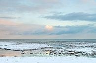 Reflectie van de pastelkleurige lucht op het water tussen het ijs op de Waddenzee bij Terschelling van Alex Hamstra thumbnail