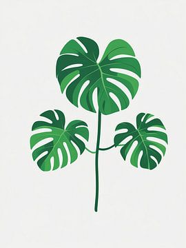 Drievoudige Monstera Samenstelling