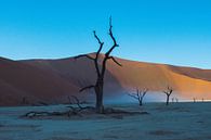 Deadvlei, Sossusvlei, Namibia van Marnix Jonker thumbnail
