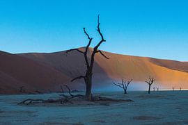 Deadvlei, Sossusvlei, Namibia by Marnix Jonker