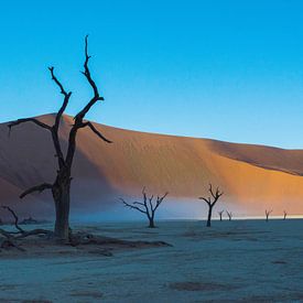 Deadvlei, Sossusvlei, Namibia by Marnix Jonker