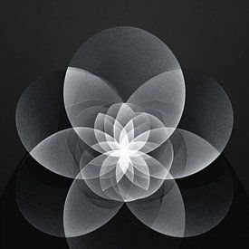 Abstrakte Harmonie von Skyfall