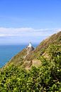 Nugget Point Lighthouse: Infinite Ocean and Iconic Trail by Be More Outdoor thumbnail