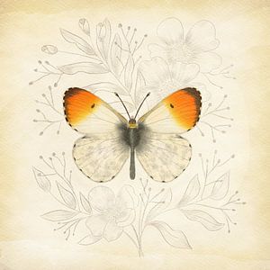 Orange Spitze Vintage