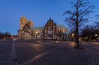 Der Dom zu Münster, während der Blauen Stunde von Martijn Miniaturansicht