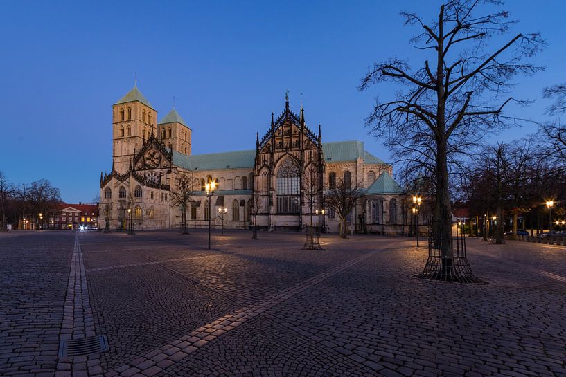 Der Dom zu Münster, während der Blauen Stunde von Martijn