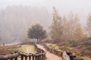 Quintelooijen im Nebel