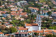 Blick auf eine Kirche in Funchal auf der Insel Madeira, Portugal von Rico Ködder Miniaturansicht