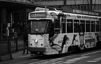 Antwerpse tram