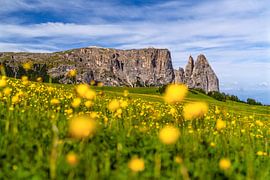 Spring in South Tyrol by Achim Thomae Photography