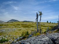 Surreal landscape in Wells Gray Provincial Park
