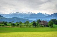 Swiss landscape near Lucerne by Hans Kool thumbnail