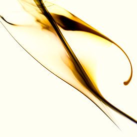 Souffle d'or sur Mario Letschert