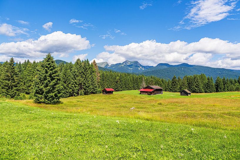 Cabane de foin dans les prairies de bosses entre Mittenwald et Krün par Rico Ködder