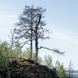 L'héritage de la nature