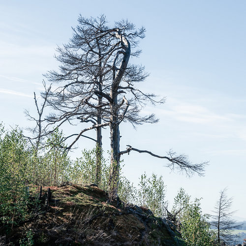 Nature’s Legacy