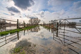 Walking over the clouds by Jessica Blokland van Diën