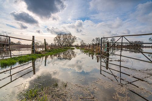 Lopen over de wolken