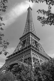 The Eiffel Tower in black and white, Paris, France by Adelheid Smitt