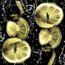 im Wasserglas - Zitronen am Spiess von Christine Nöhmeier Miniaturansicht