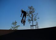 flying bmx by Dianne Peeters thumbnail