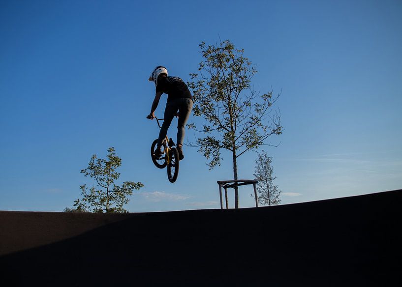 flying bmx by Dianne Peeters