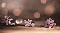 flowers and crystals
