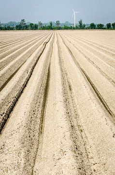 De voren zijn klaar voor het planten. van Peter de Jong
