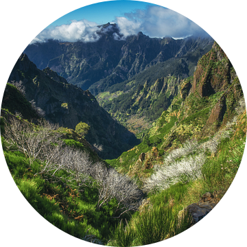 Madeira landschap en bergen bij Pico Ruivo van Jean Claude Castor
