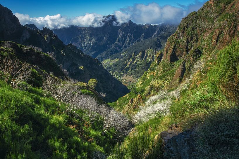 Paysage de Madère et montagnes à Pico Ruivo par Jean Claude Castor
