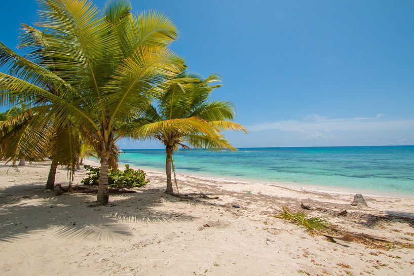 beautiful beach by Monique de Koning
