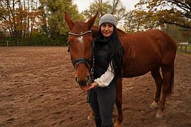 Training with the bay Oldenburg mare on a riding arena