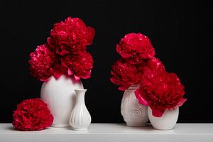 Nature morte aux pivoines