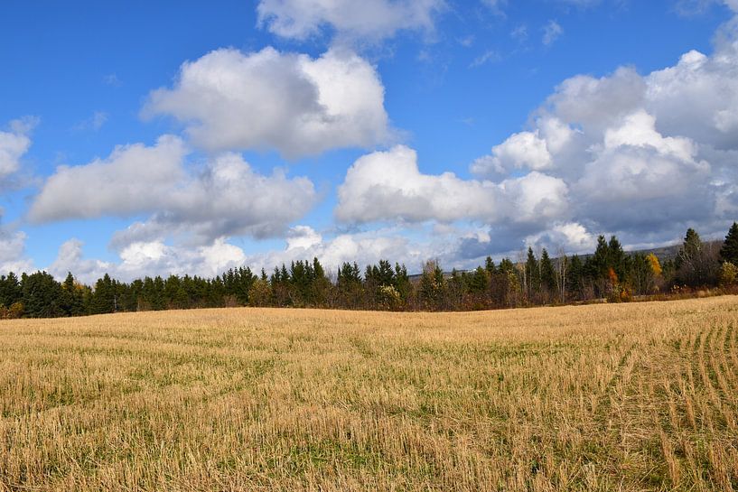 A field after the autumn harvest by Claude Laprise